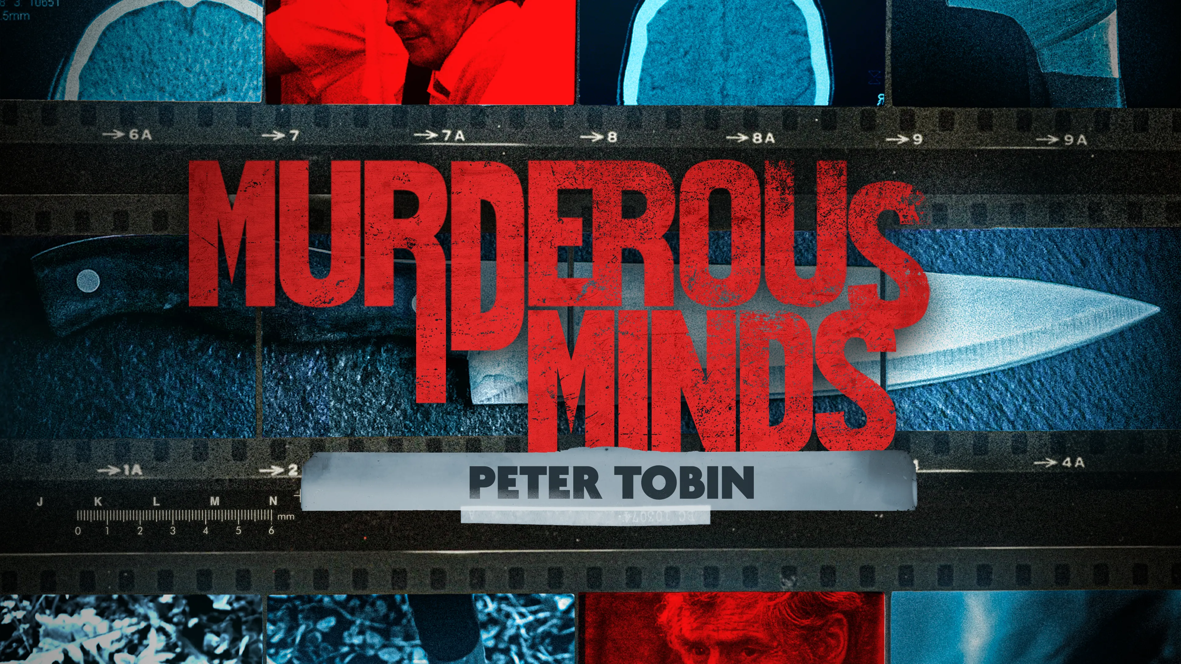 Murderous Minds: Peter Tobin poster